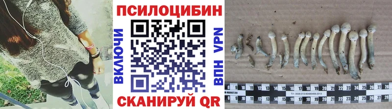Галлюциногенные грибы Cubensis  Арзамас 